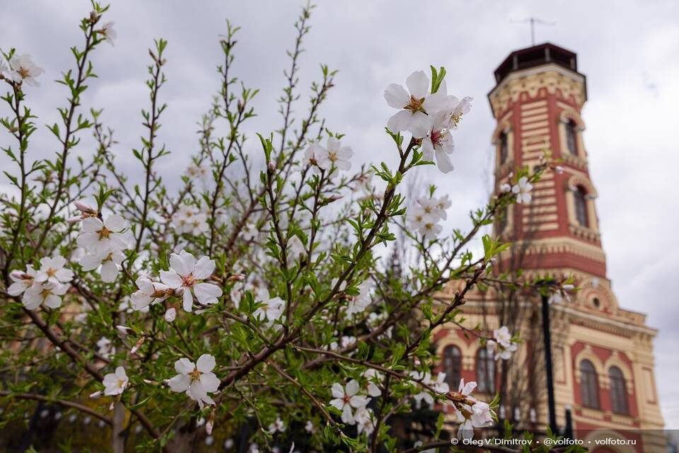    Фото: Олег Димитров / "Городские вести"