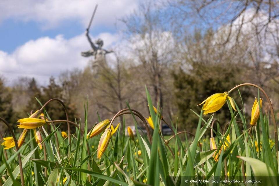    Фото: Олег Димитров / "Городские вести"
