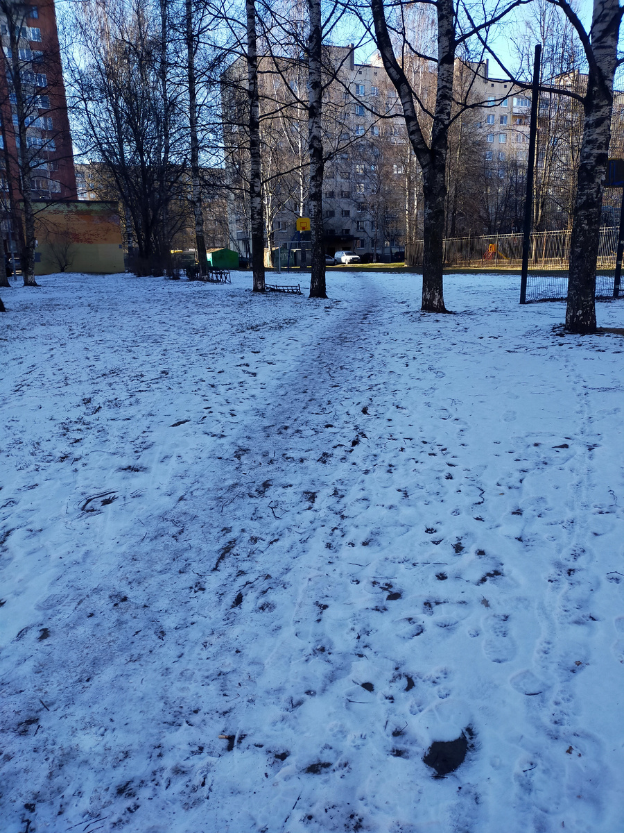 Фото автора.