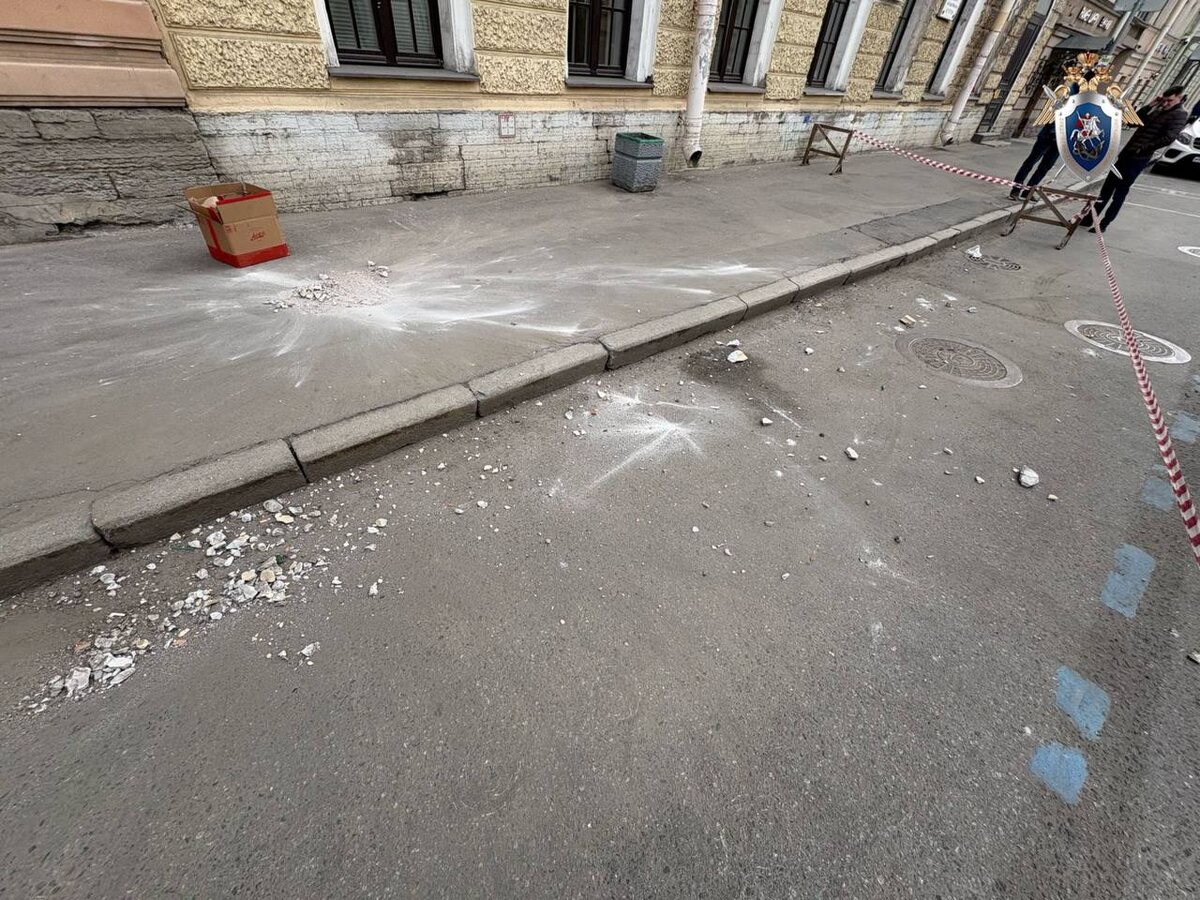 Фото: telegram.org / ГСУ СК России по Санкт-Петербургу