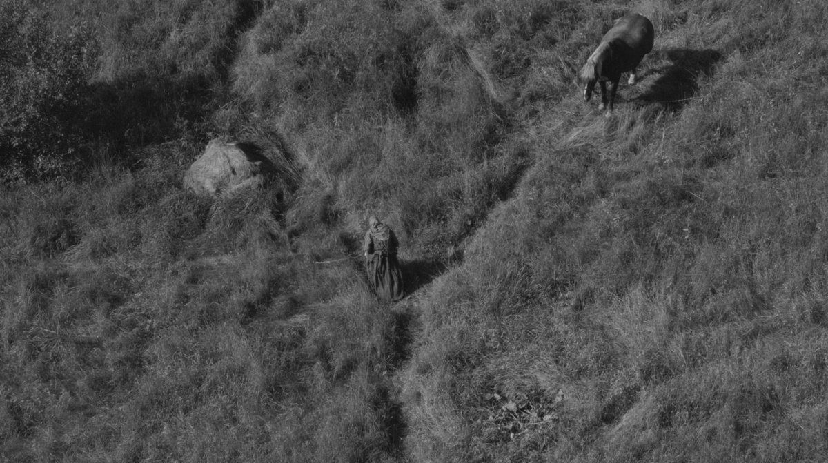     «На этой земле», режиссер Рената Джало, 2024 «На этой земле», режиссер Рената Джало, 2024