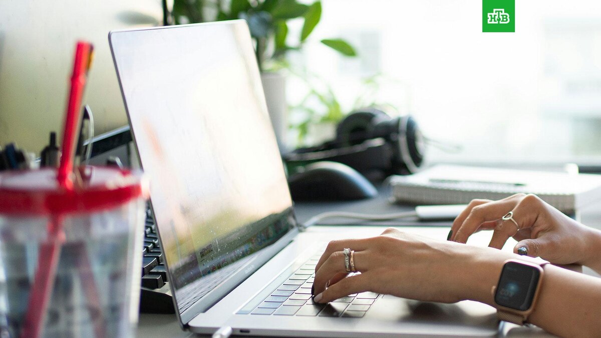    Фото: Major Tom Agency / unsplash.com