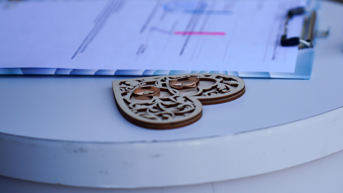 Светлана Мулыкина📷
