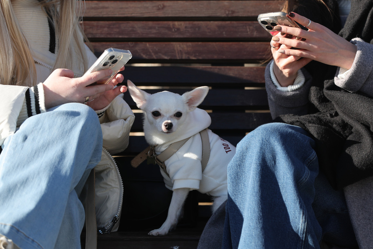    ФОТО: © BELKIN ALEXEY/ GLOBAL LOOK PRESS