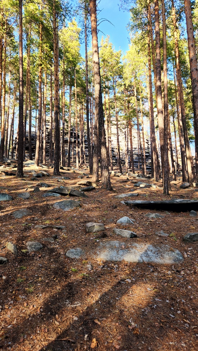 С этой стороны подход для тех,кто не смог подъехать к подножью.Начинается внизу горы недалеко от беседки.