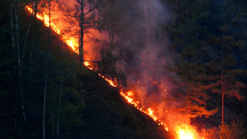    Фото: © РИА Новости/Илья Наймушин; 5-tv.ru