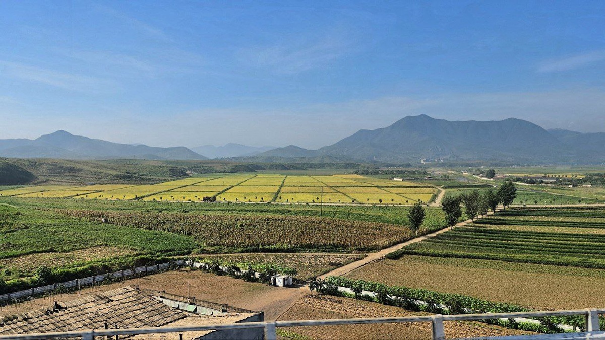 Обработанные поля