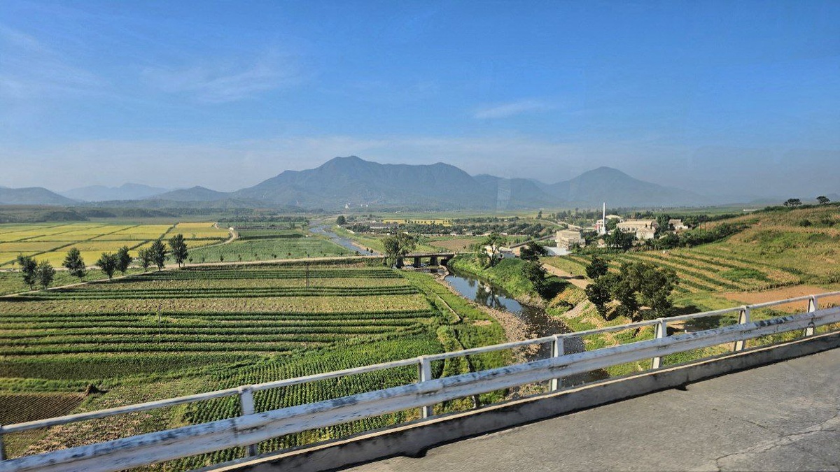 Обработанные поля