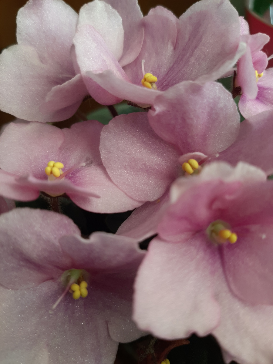 Красота необыкновенная. 