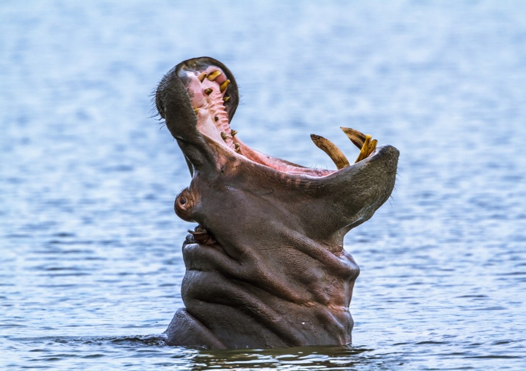    Фото: news.ru Георгий