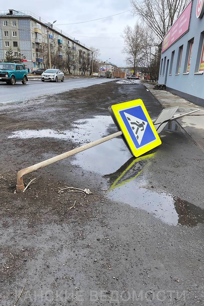 Фото Ольги ПРОКУДИНОЙ.