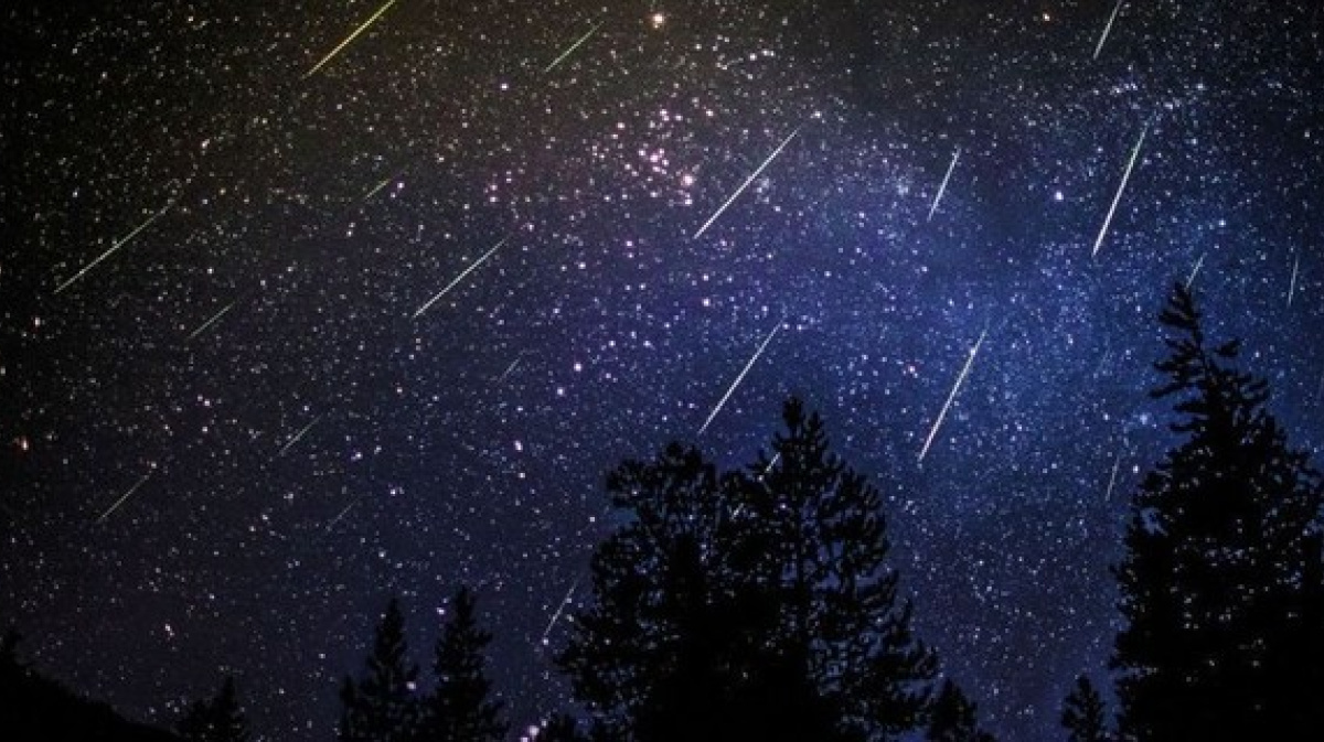 Звездопад. Источник фото: vesti-k.ru