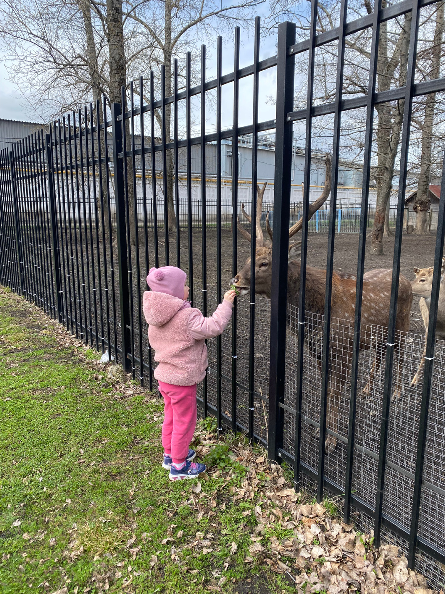 Больше прогулок теперь будет 