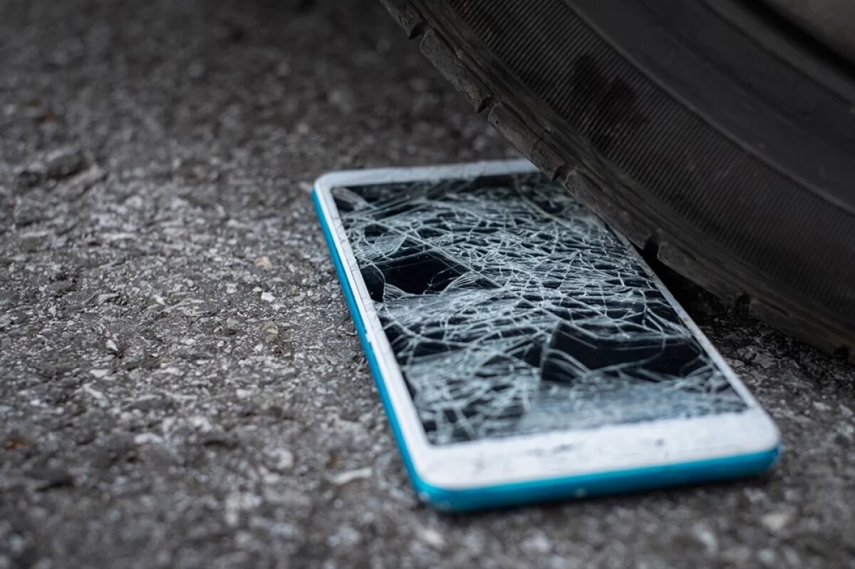    Не вздумайте платить!