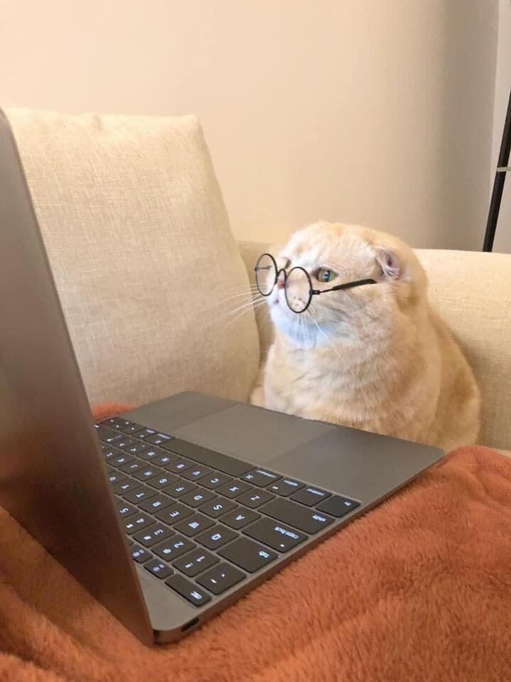 «Интроверт уровня 80. Прокачиваю скиллы тишины»