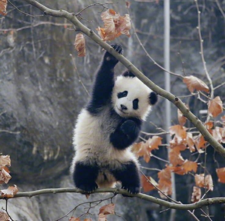 «Тишина — мой суперпавер»