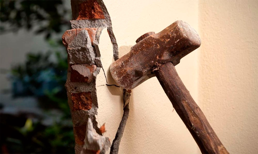 Фото Владимира Чучадеева.