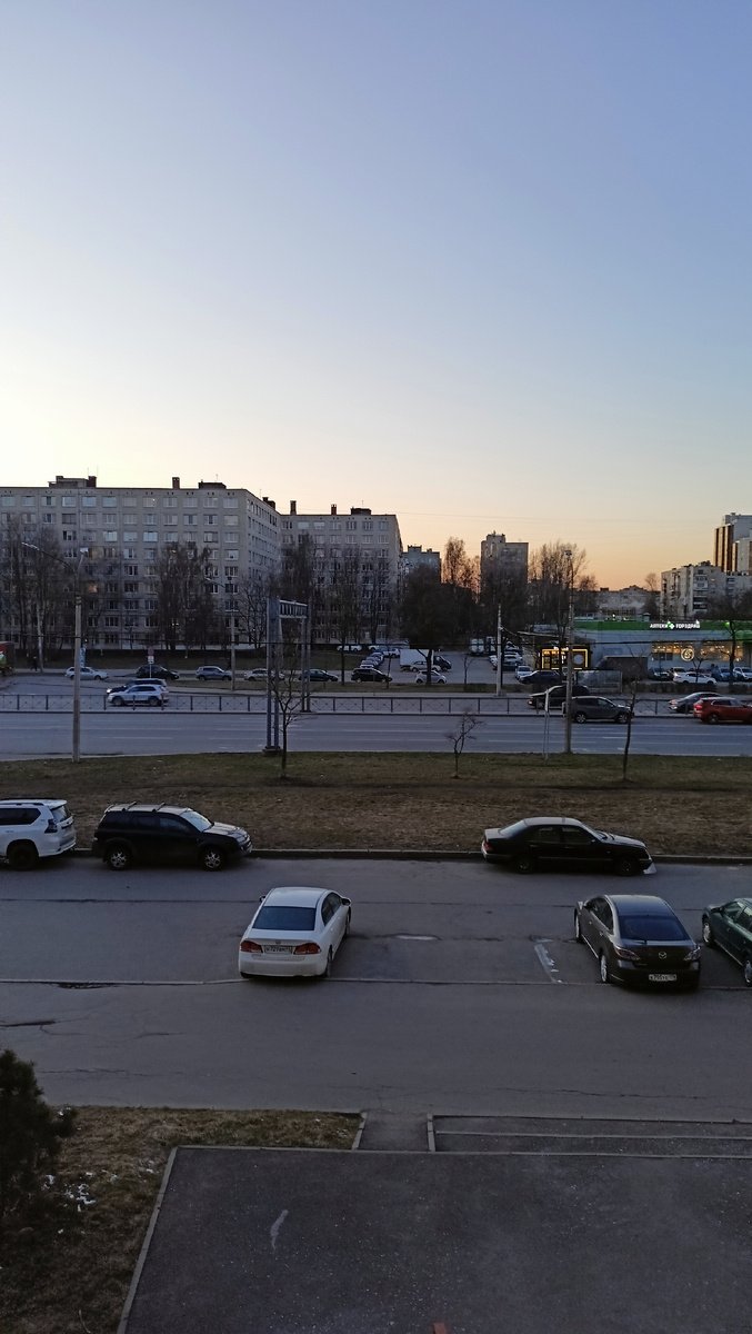 Фото автора. 20.02. СПб.