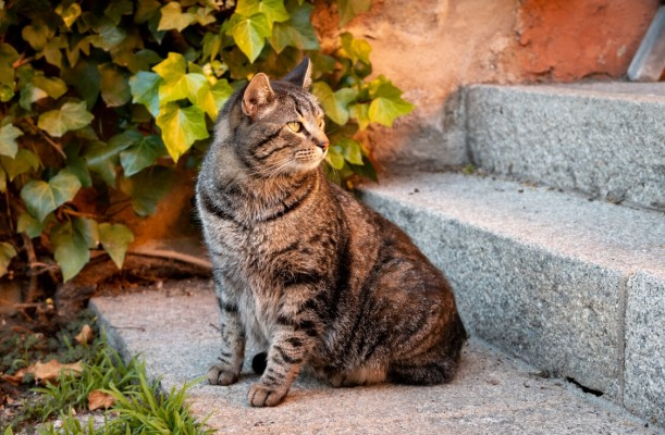 Источник фото wirestock / Freepik.com