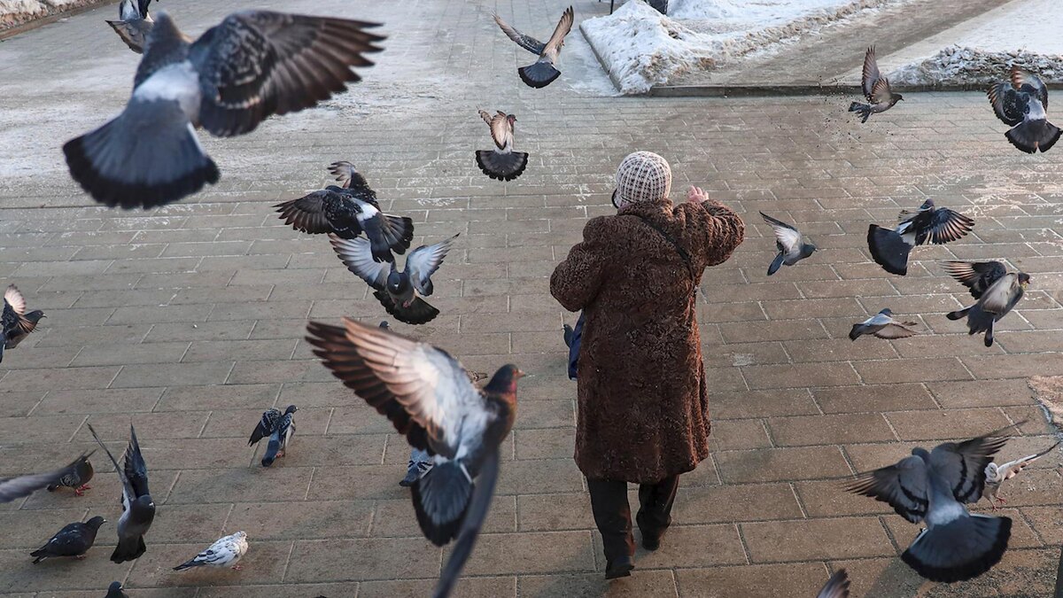    Фото: Razmik Zackaryan/globallookpress.com