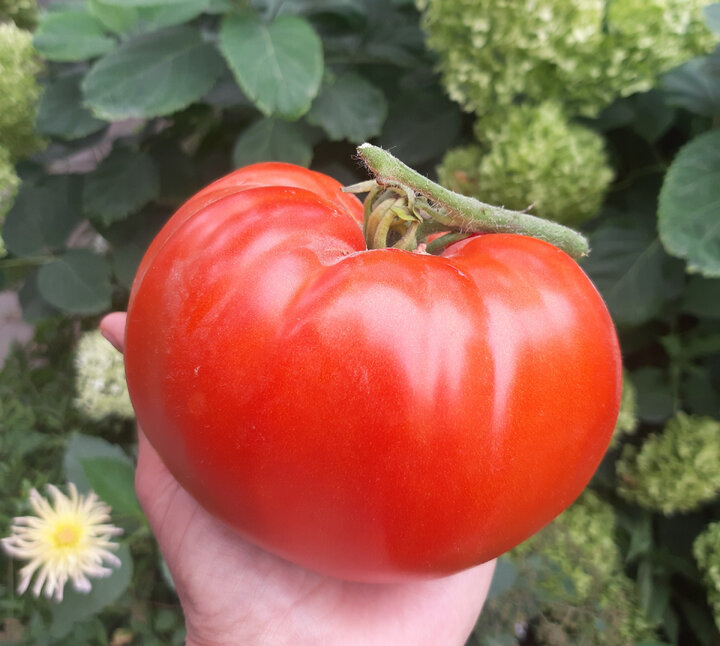 Фото автора.