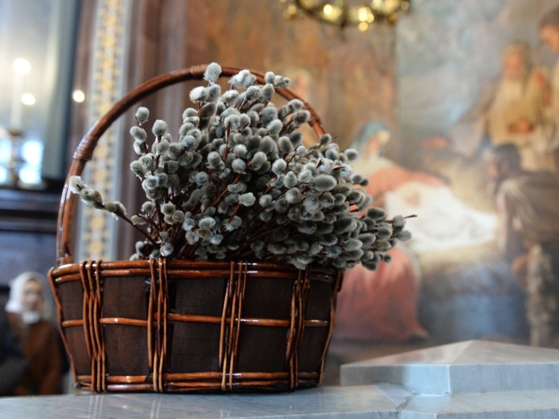 из интернета