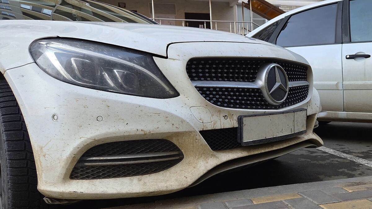     Автор: KubanPress