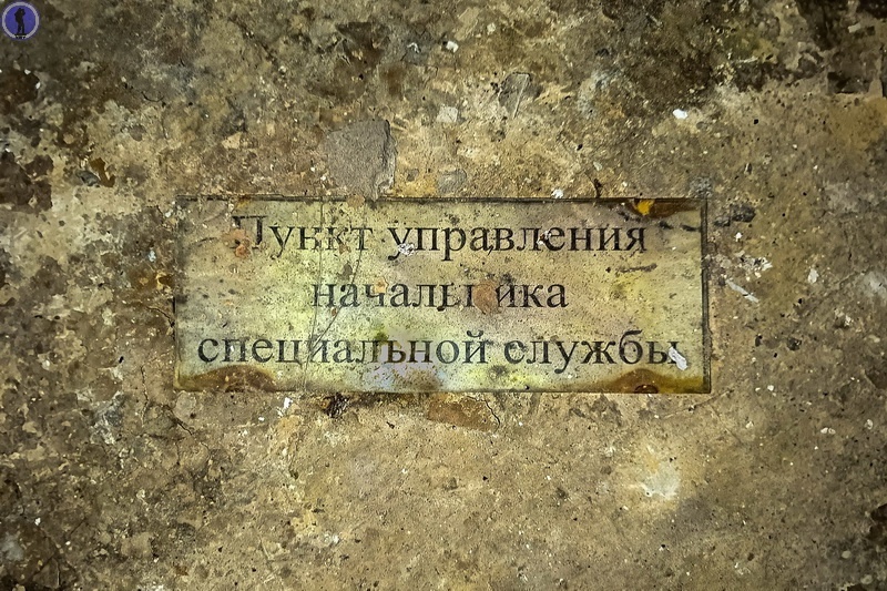 -46