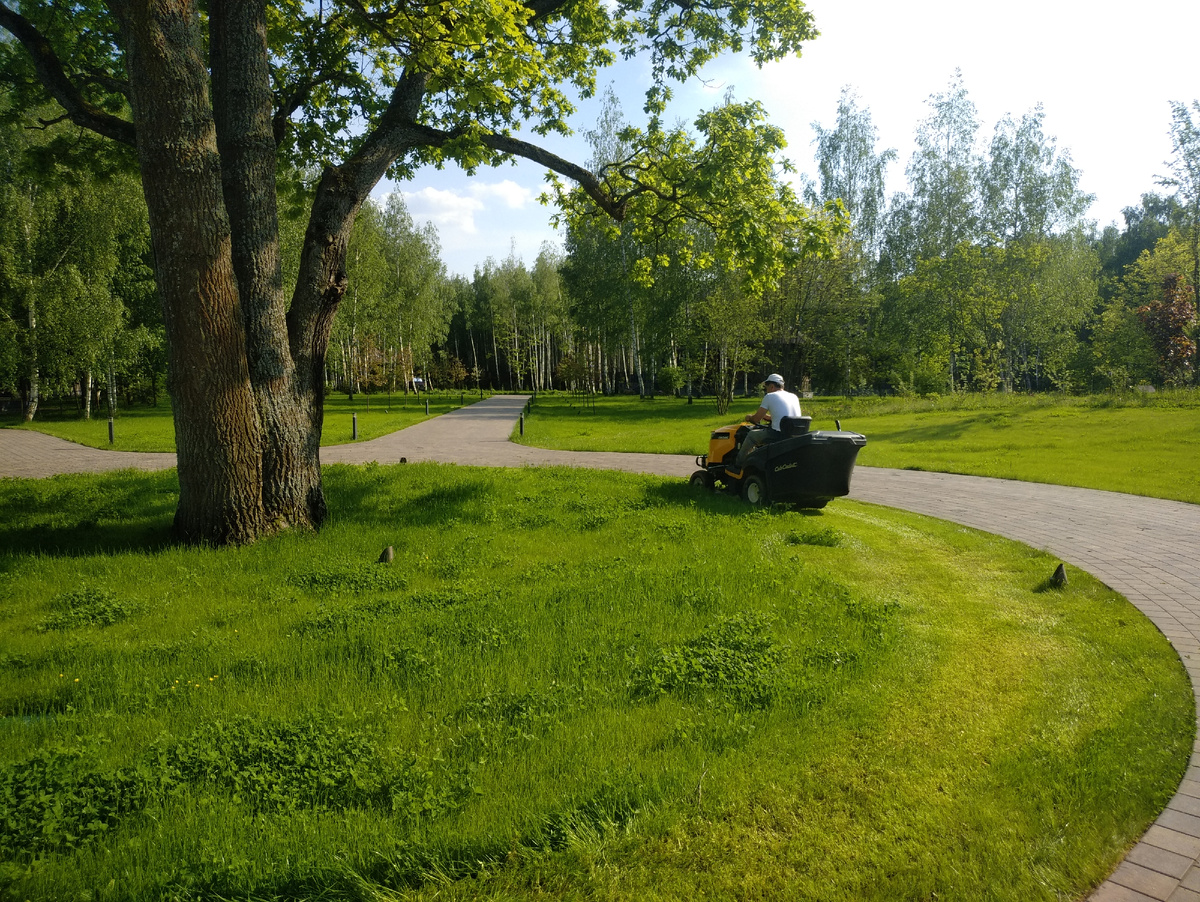 Стрижка газона - отдельная индустрия