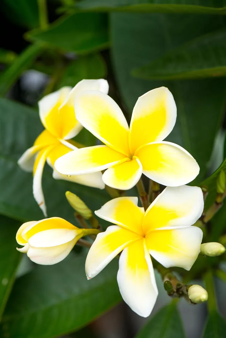 Фото из оригинала статьи