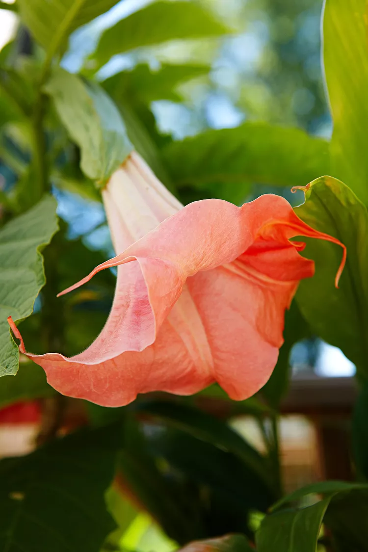 Фото из оригинала статьи