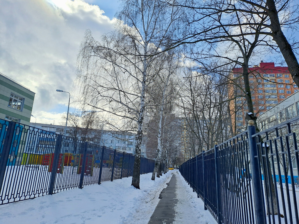 А это по дороге на адрес.Мощные берёзы вдоль тропинки.