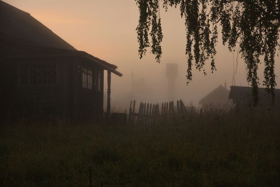 яндекс картинки