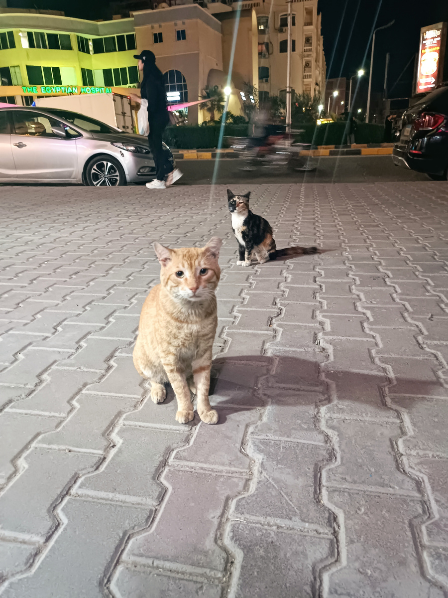 Для просмотра всех фото листайте влево