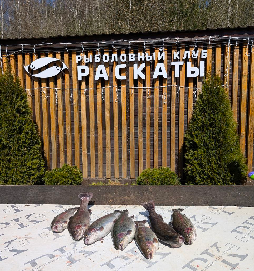 платная рыбалка, улов на 3 человека