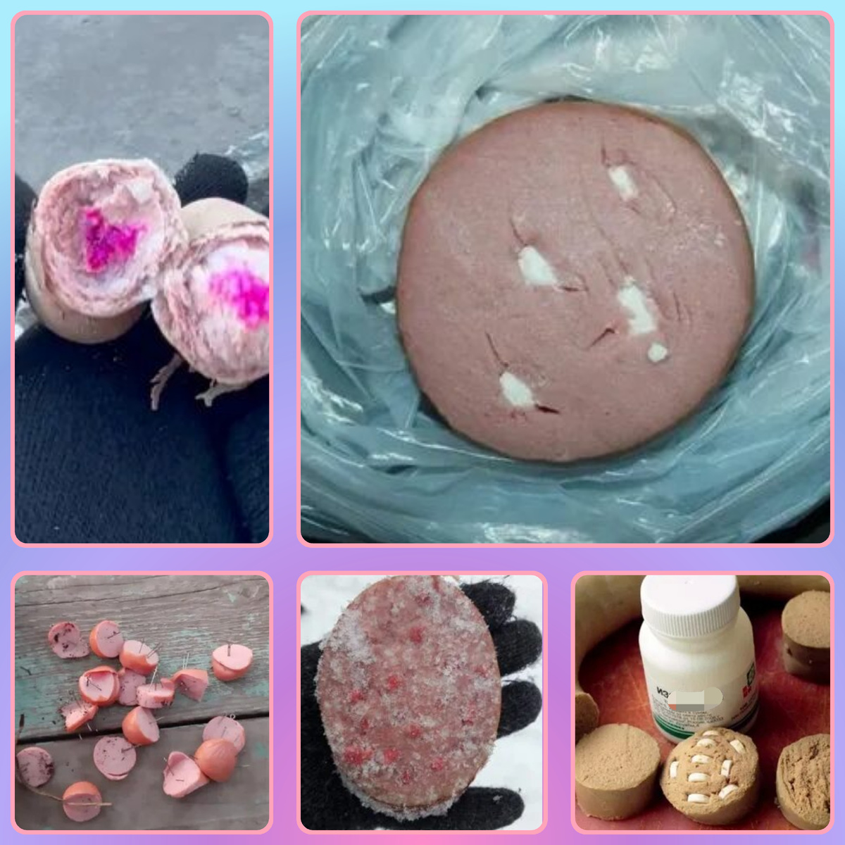 Чем трaвят собак догхантеры. Коллаж автора для иллюстрации статьи 