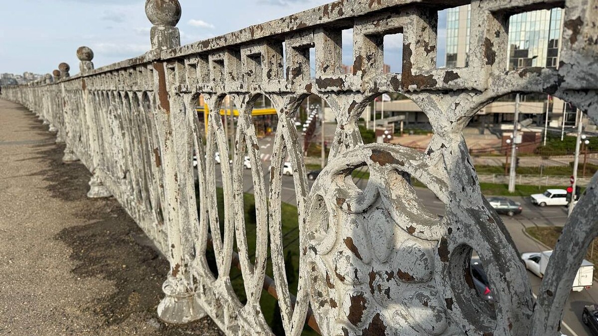    Фото: телеканал «Краснодар»