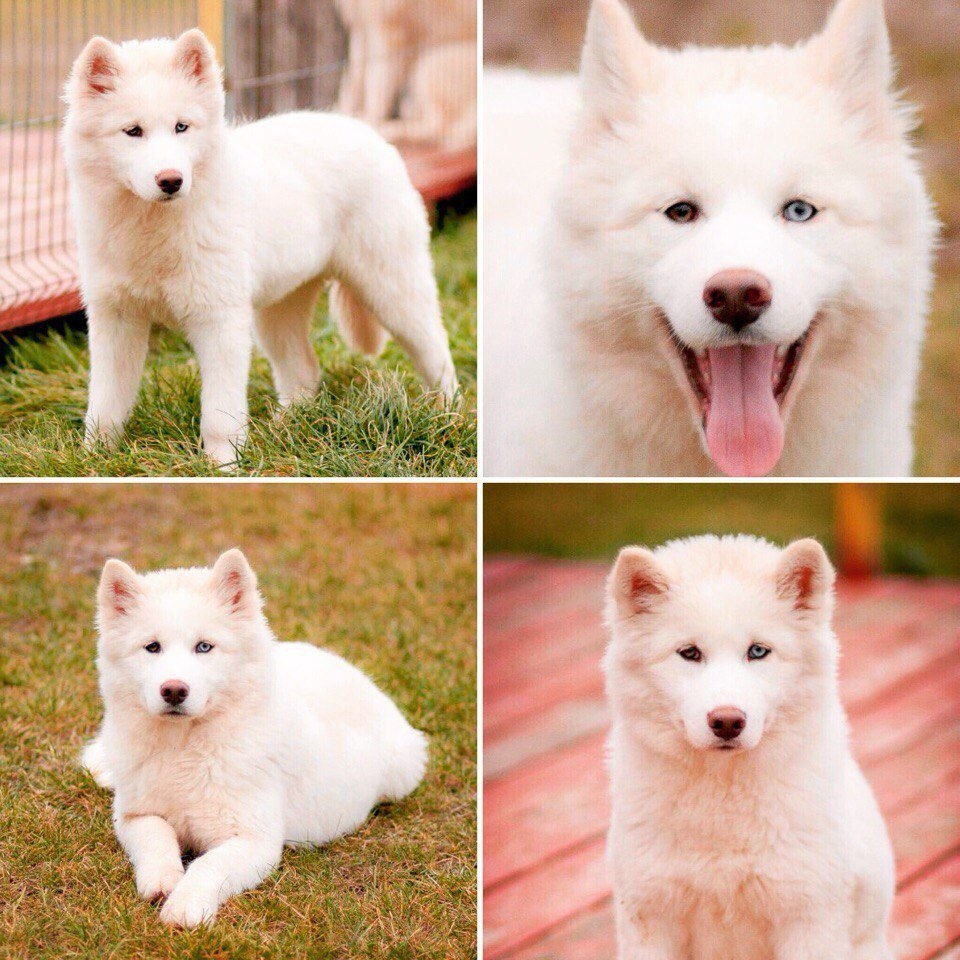 Первое знакомство по фото с маленьким "писцом" :)