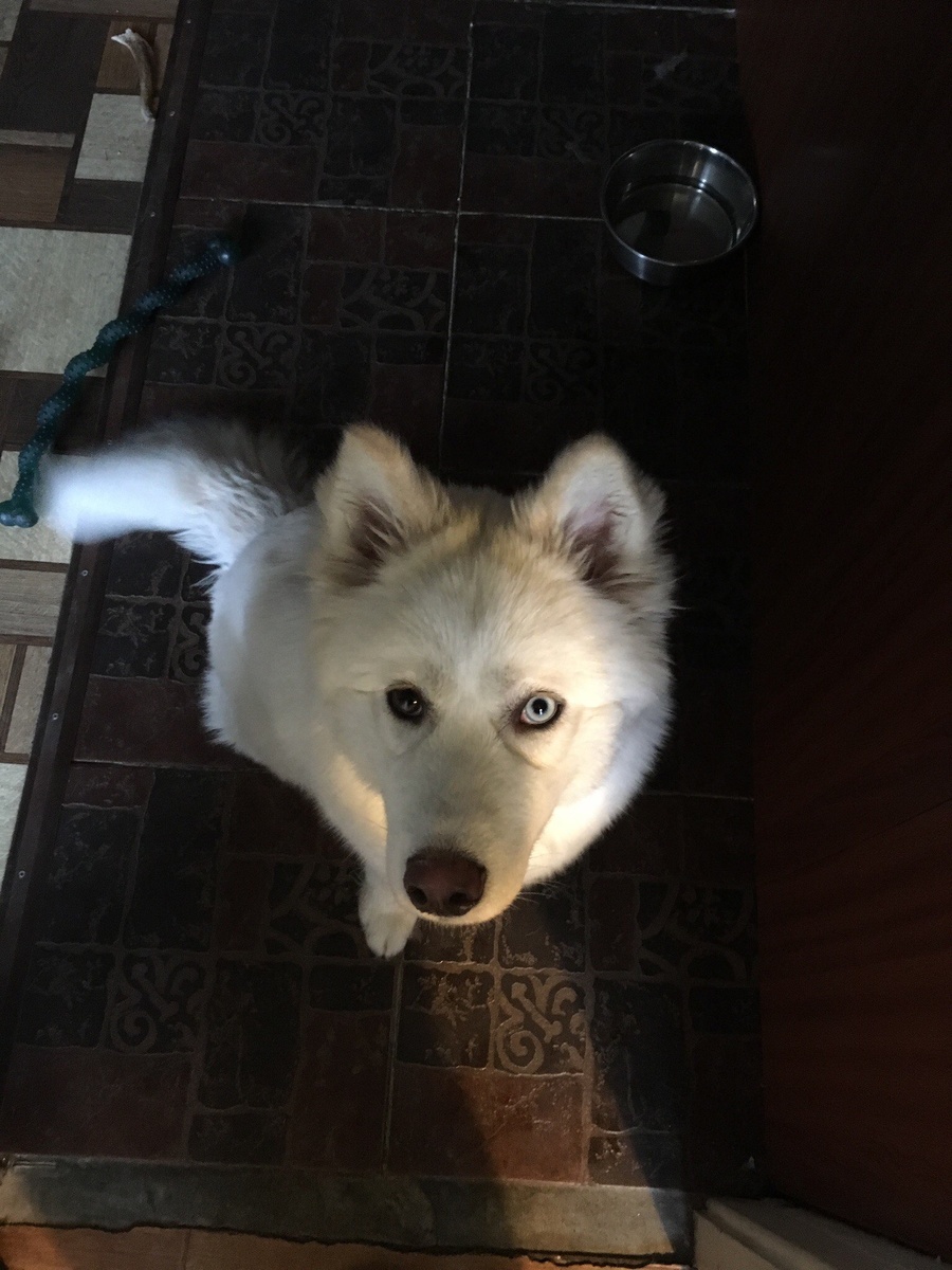 Первый день ДОМА❤️