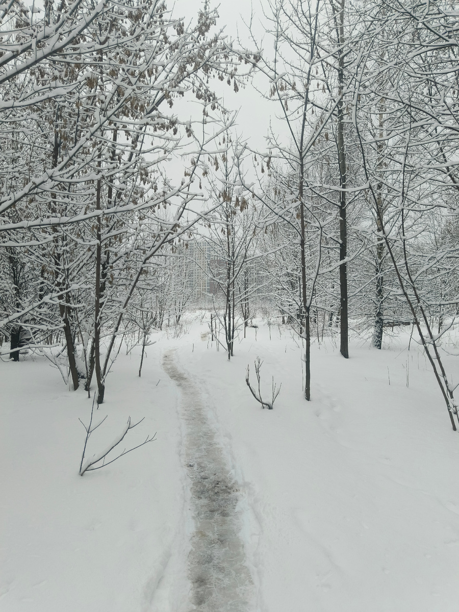 На фото тропа недалеко от дома 