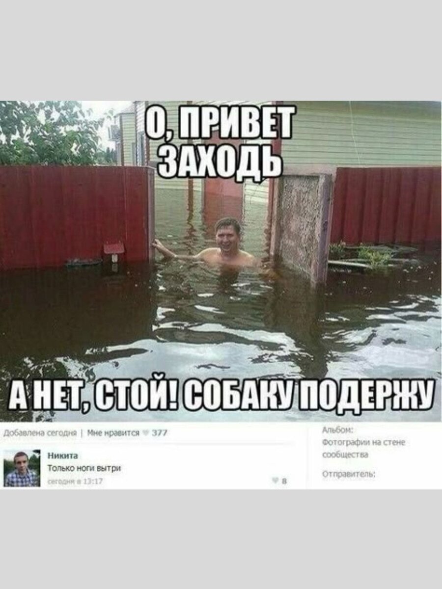 -6