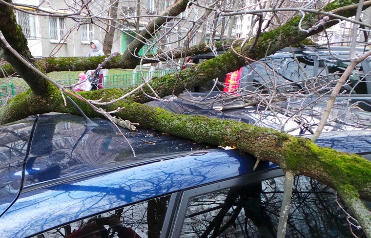    АГН «Москва»