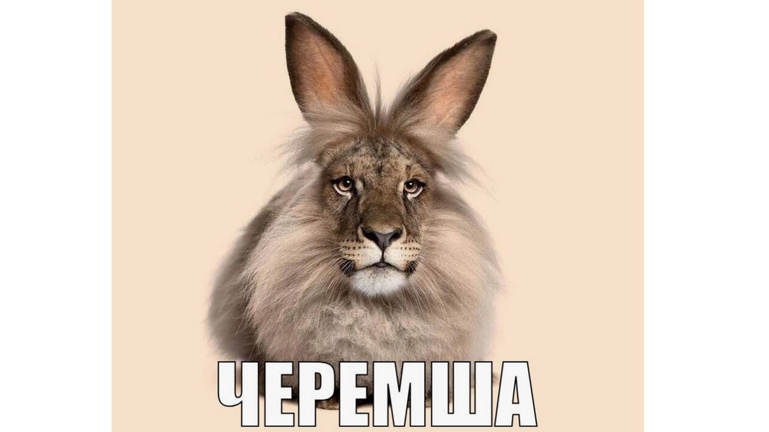 Мем Черемша