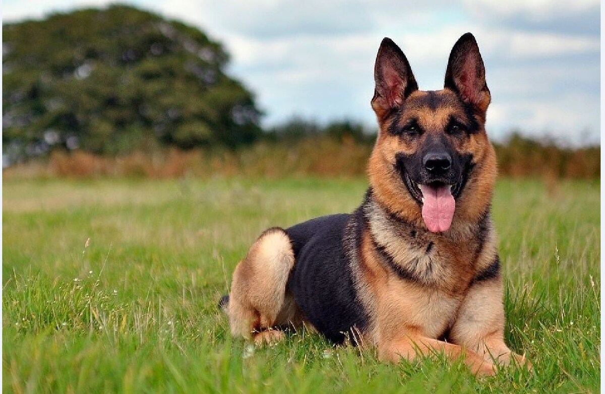 Фото из сети Интернет