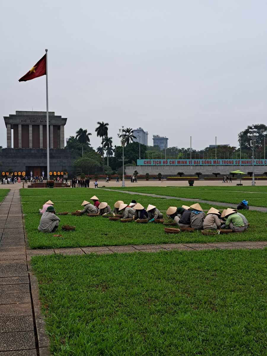 Собирают траву 🌿