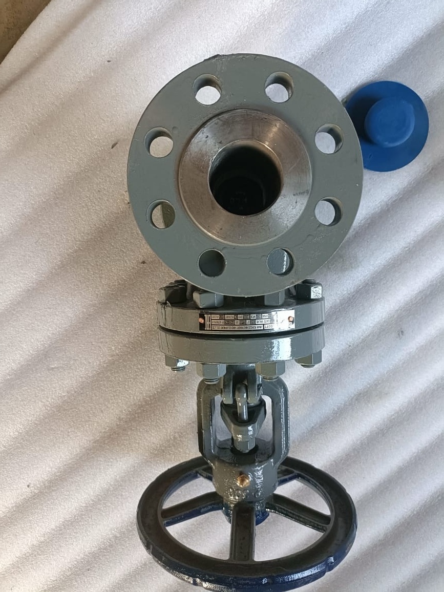 Задвижка  с шильдиком на боку, на фото рядом лежит синяя заглушка (синий - наш корпоративный цвет).
