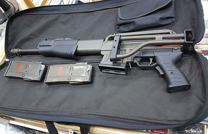 SPAS-15 в футляре./ Фото: guns.ru