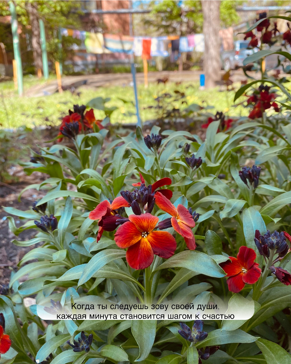 "Когда ты следуешь зову своей души - каждая минута становится шагом к счастью"