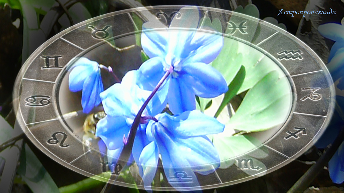 Гороскоп с 7 по 13 апреля 2025: последняя неделя ретроградности Венеры.