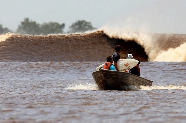 Поророка на Амазонке. Фото из открытых источников